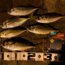 激流ポイントを攻略