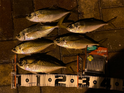 激流ポイントを攻略