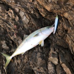 朝一トップ炸裂！！！