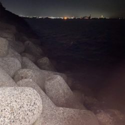 メバリング調査