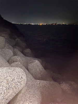 メバリング調査