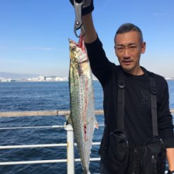 ギリ鰆62センチ。ハマチ47センチ。。