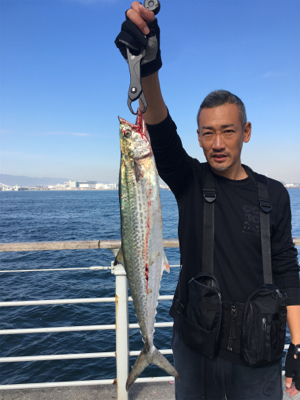 ギリ鰆62センチ。ハマチ47センチ。。