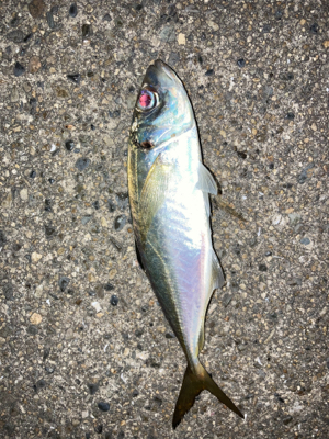 なんとかアジゲット