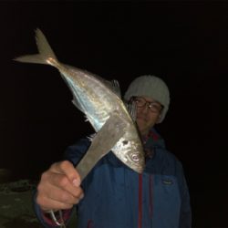 尺アジの刺身はやっぱり美味い!