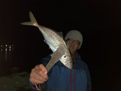 尺アジの刺身はやっぱり美味い!