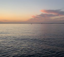 7ヶ月ぶりのアジング