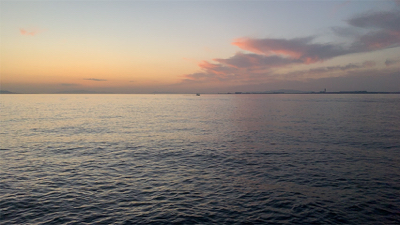 7ヶ月ぶりのアジング