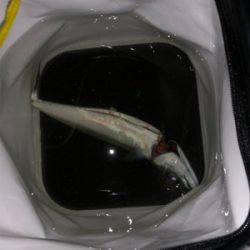 サバが食べたくて