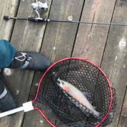 極寒のトラウト