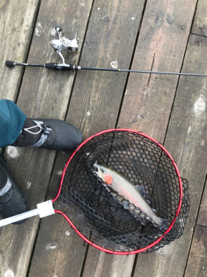 極寒のトラウト