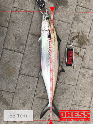 ☆2連続ラインブレイクの末に