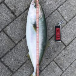 ☆3日で4回釣行