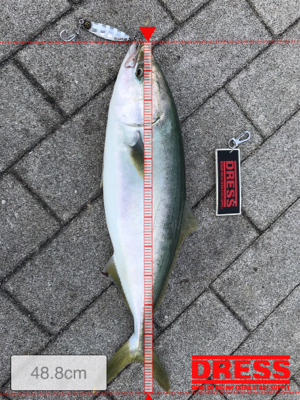 ☆3日で4回釣行