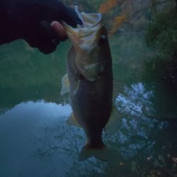 ミドストスペシャル入魂