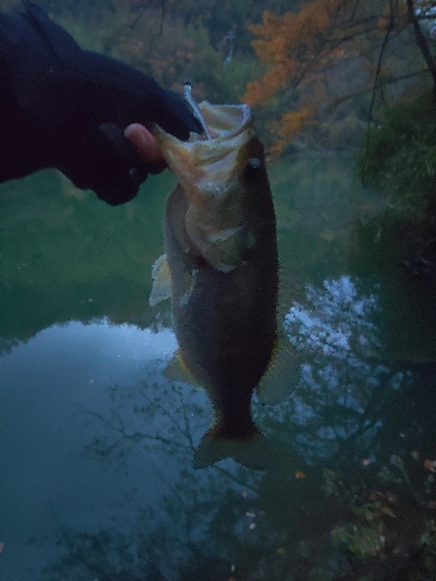 ミドストスペシャル入魂