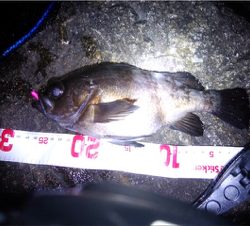 開幕メバリング