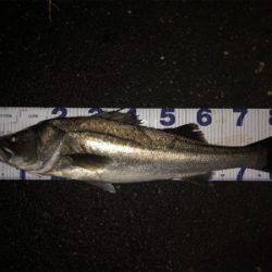 やっちまったぜ