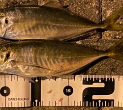 道具選びの大切さ❗️