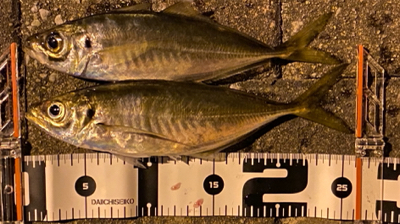 道具選びの大切さ❗️