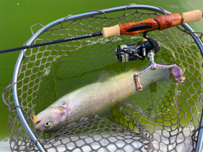 エリアトラウト