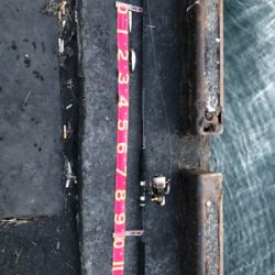 2日間唯一の釣果!!