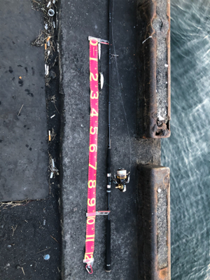 2日間唯一の釣果!!