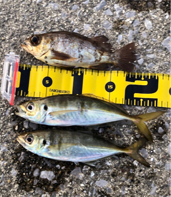 どうにかならんかな〜