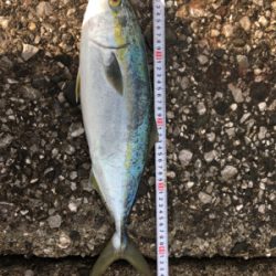 まあまあの風、白波のもと