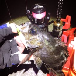 ワームで釣れない時はプラグで！