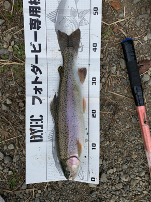 フィッシュオン王禅寺にて…