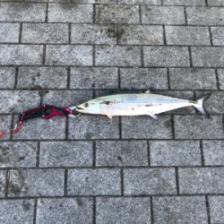 今年最後の投稿。