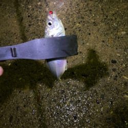 仕事帰りに短時間