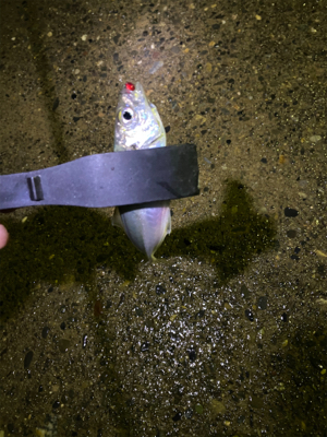 仕事帰りに短時間