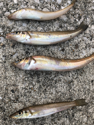 年内最後のキス