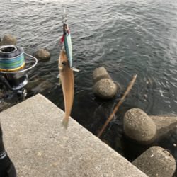 爆風におおしけ