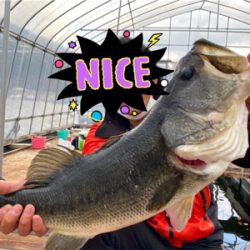 ワカサギ釣りの延長…