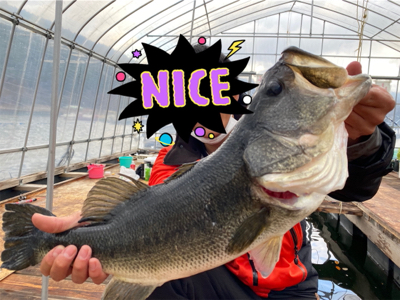 ワカサギ釣りの延長…