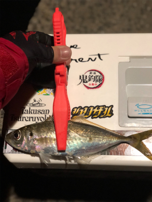 寒さに負けるな