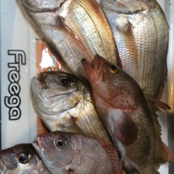 今年ラストの一つテンヤ