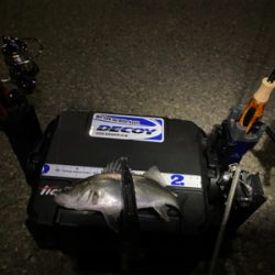 ライトゲーム チーバス