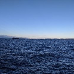 今年最後かな〜？