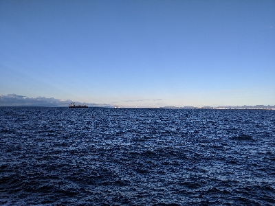 今年最後かな〜？