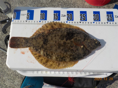 今年度、ラスト餌釣り