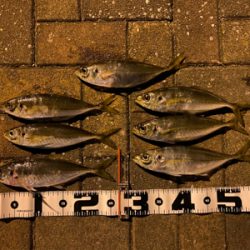 良型狙いなんとかなる