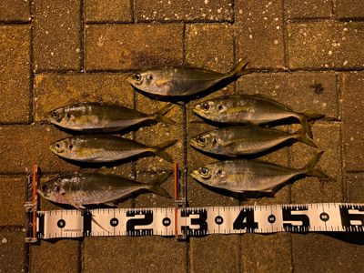 良型狙いなんとかなる