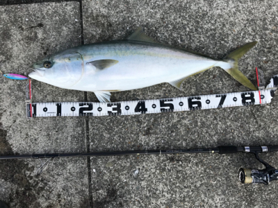 最高の釣り納め