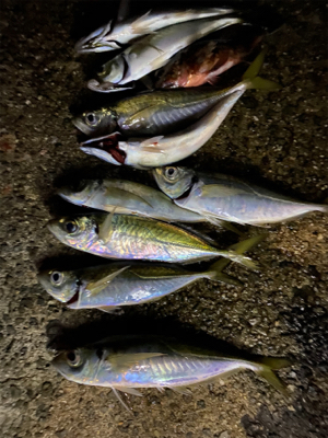 フロートアジング