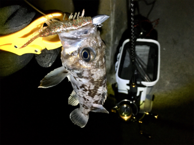 エビワームでクロソイゲーム