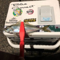 Newロッドの鱗付け